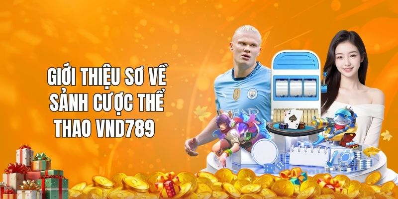 Giới thiệu sơ về sảnh cược thể thao VND789